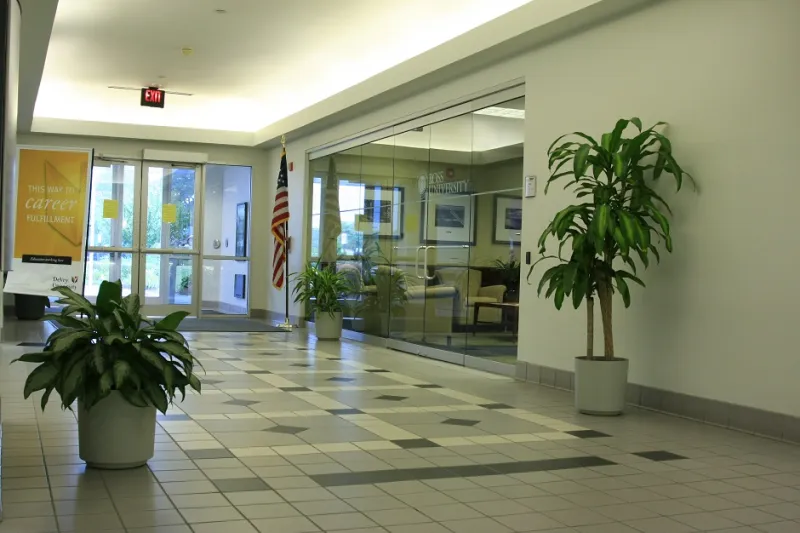 النباتات في مكان العمل تزيد نسبة تركيز الموظفين