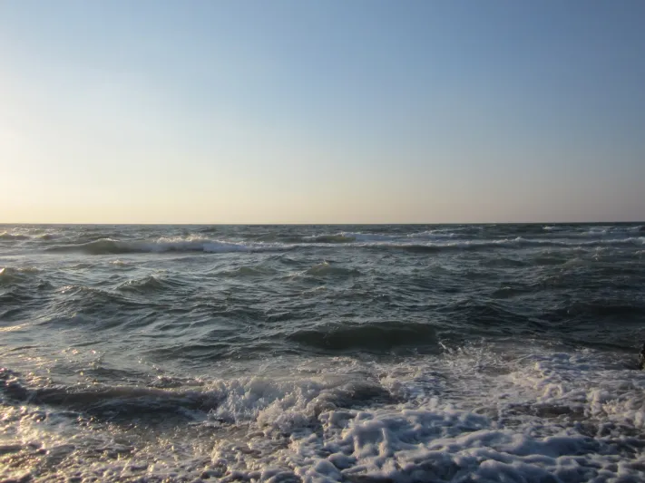 شاهد: شاب يحاول التقاط صورة «سيلفي» فيسقط في البحر