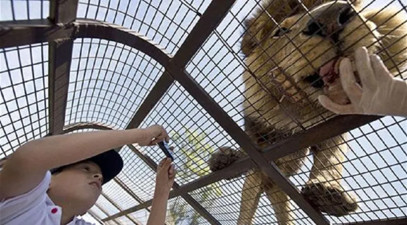 بالصور: حديقة فريدة من نوعها تحبس الزوار بدلاً من الحيوانات