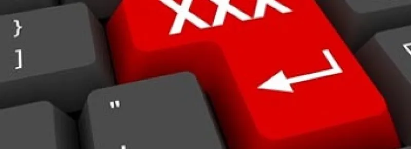 هذا ما قد يحصل للحاسوب خلال تصفح مواقع اباحية