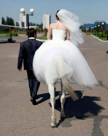 بالصور: اغرب 24 زوجين في العالم