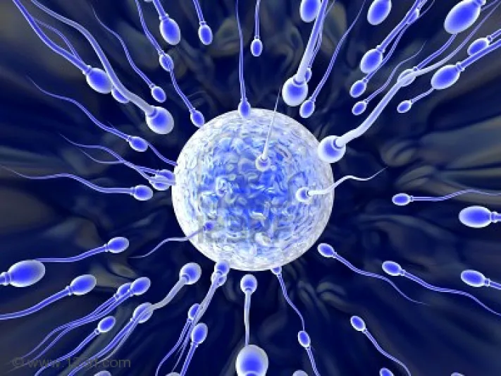 ضعف الحيوان المنوي مؤشر على ضعف صحة الرجل!