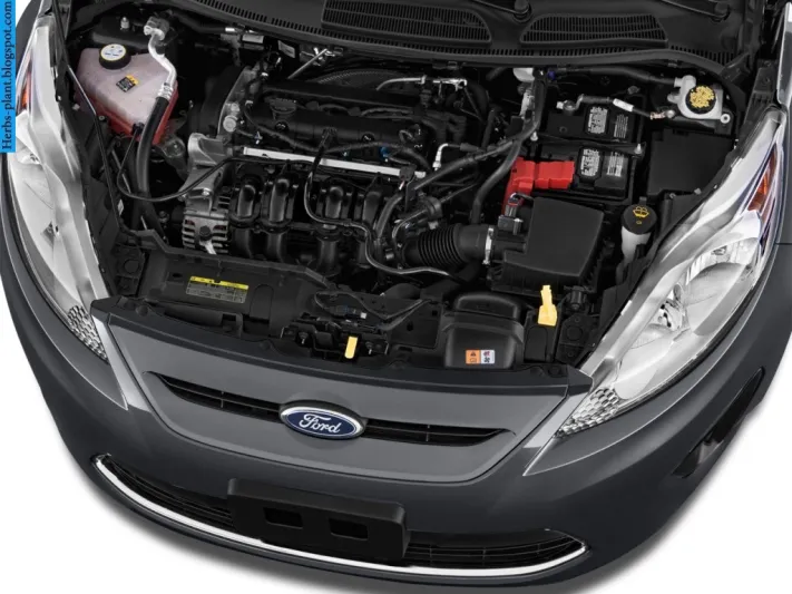 شاهد.. مفاجأة مذهلة تنتظر "تايلندي" في محرك سيارته