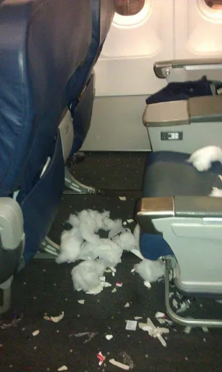 مضيفة الركاب التي فضحت ركابها بالصور..