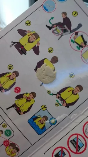 مضيفة الركاب التي فضحت ركابها بالصور..