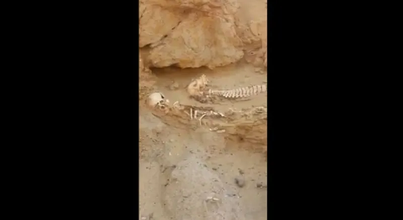 جماجم بشرية توقف بناء مدرسة سعودية