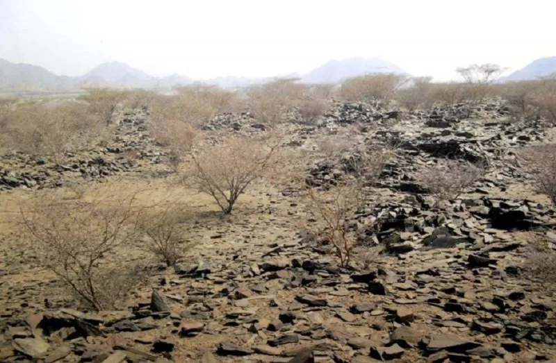 سعودي يعود لأسرته بعد 3 ليالٍ في القبر