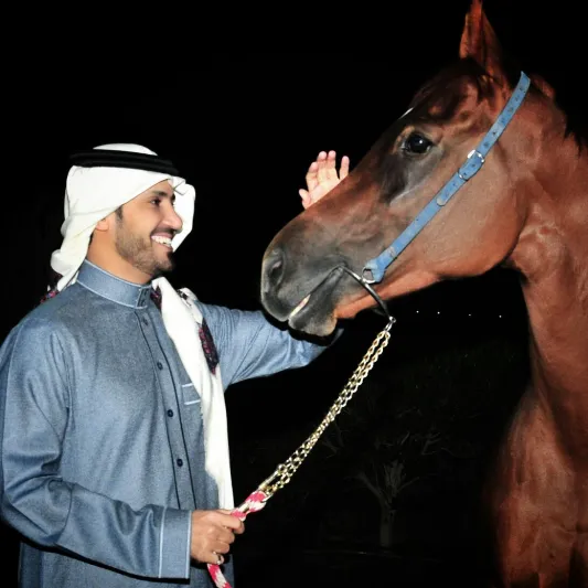 خيول اسطبل "العالمي" جاهزة للمنافسة في سباق كأس المؤسس 