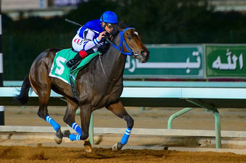خيول اسطبل "العالمي" جاهزة للمنافسة في سباق كأس المؤسس 