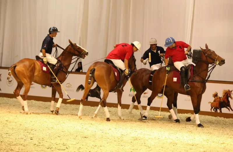 مهارات الخيول والفرسان تُبهر جمهور معرض دبي الدولي للخيل