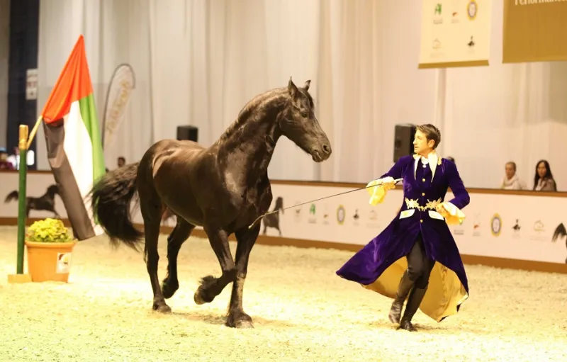 مهارات الخيول والفرسان تُبهر جمهور معرض دبي الدولي للخيل