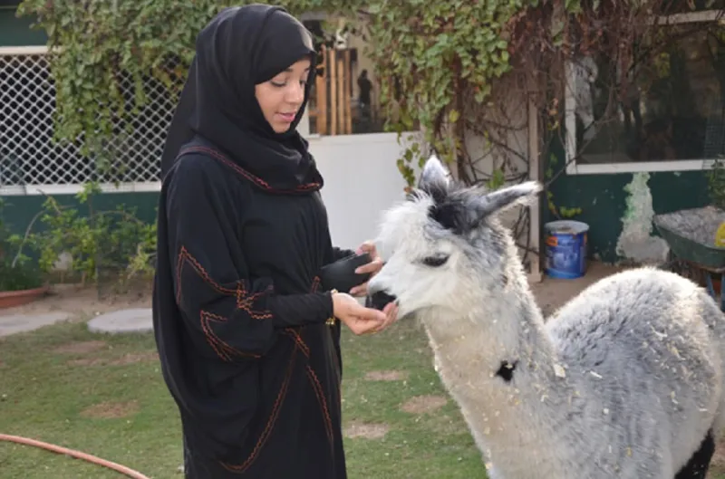 إماراتية تعيش مع 270 حيوانا في منزلها