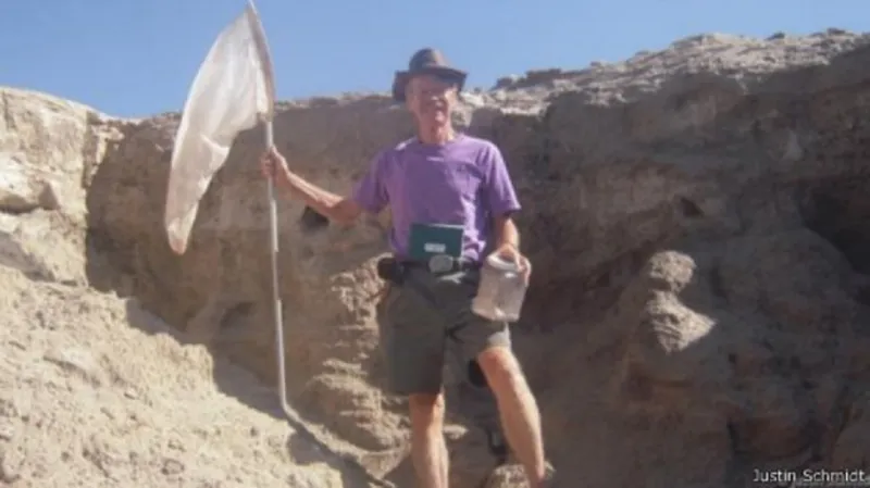 أكثر لدغات الحشرات إيلاما في العالم