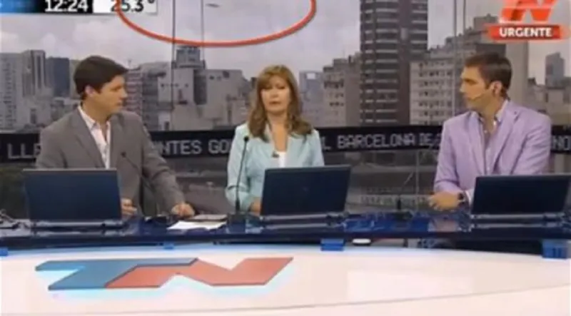 بالصورة..طبق طائر يظهر في نشرة أخبار على الهواء مباشرة