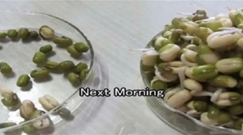 بعد هذه الصورة لن تضع هاتفك بجانب رأسك أبداً