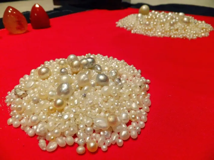 عثرت على 50 لؤلؤة طبيعية في وجبة عشاء في فرانكلين