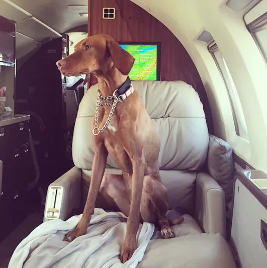 بالصور..كيف يقضي أغنى أطفال على “إنستغرام” إجازة الربيع