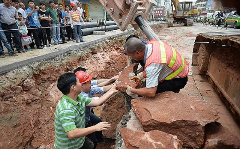بالصور.. عمال بناء يكتشفون “بيض ديناصور” في الصين
