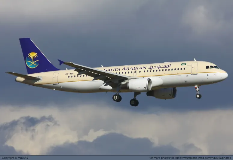 توقيف 4 مسافرات "قزقزن" البزر في طائرة سعودية