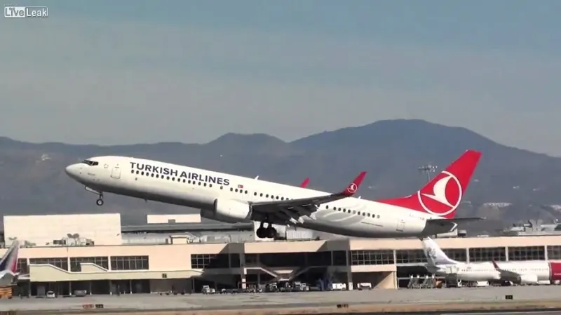 طائرة تعود بعد إقلاعها من اسطنبول بسبب كلبين