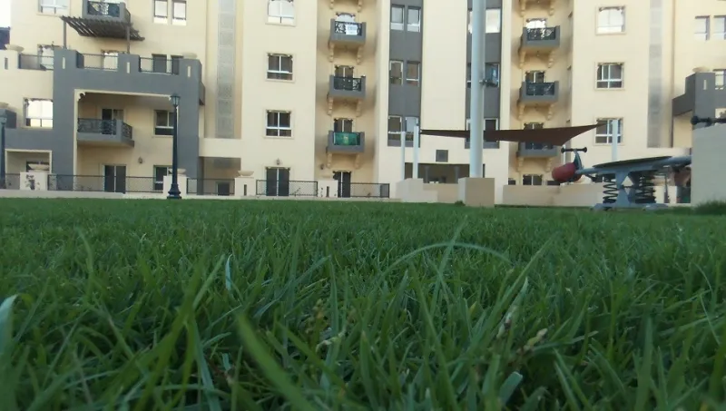 تقييم الطائرة باروت بيبوب Parrot Bebop