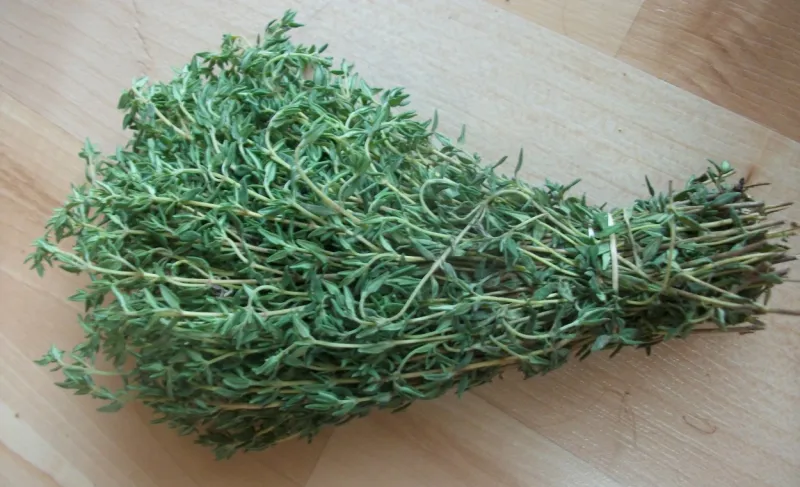 10 كنوز للزعتر ... ما هي؟