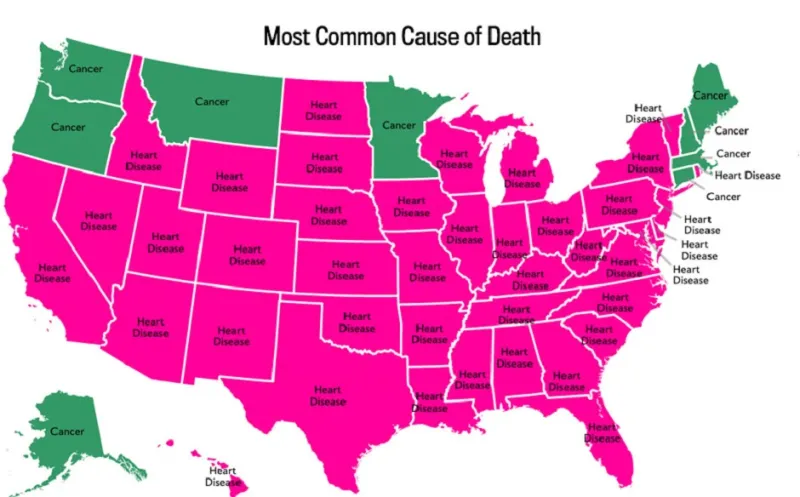أكثر 25 سببا للموت في كل ولاية أميركية 