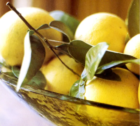 Essenze مجموعة رجالية عصرية من خمس عطور استثنائية 