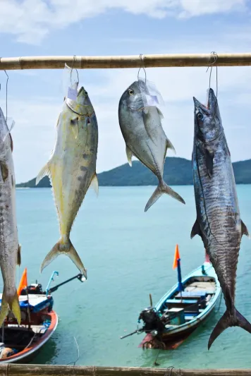 20 نصيحة لرحلة ناجحة الى فوكت التايلانيدية