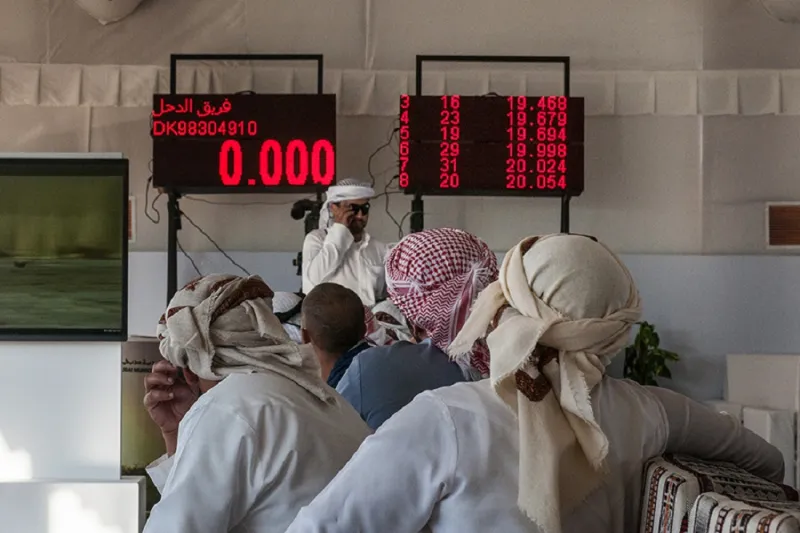بالصور : بطولة فزاع للصيد بالصقور تحيي تقليدا عمره 7000 عام