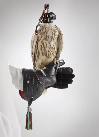 اغطية لراس الصقر تحمل توقيع "مون بلان"