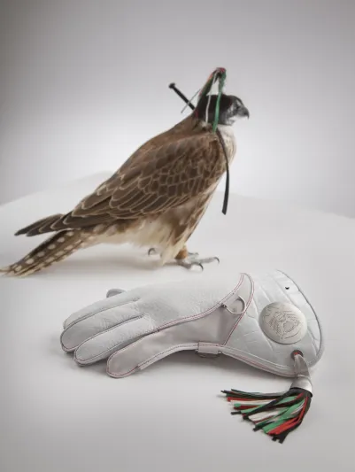 اغطية لراس الصقر تحمل توقيع "مون بلان"