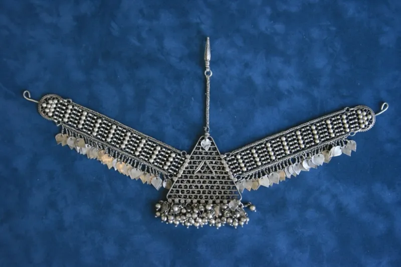   جناح "آرت" فيرمونت النخلة : متحف للاقامة.