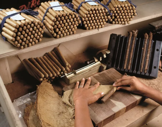 بالصور : الرجل ترافق سيجار دافيدوف من الحقل وصولا الى العلبة الفاخرة