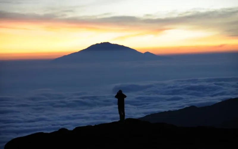 مقيمون في دبي  يخاطرون بحياتهم لإنقاذ  اطفال السرطان