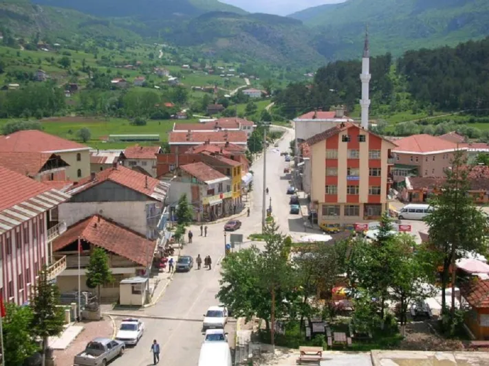 شاب تركي: مطرب في الليل وامام مسجد في النهار. 