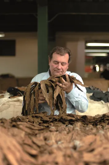 بالصور : الرجل ترافق سيجار دافيدوف من الحقل وصولا الى العلبة الفاخرة