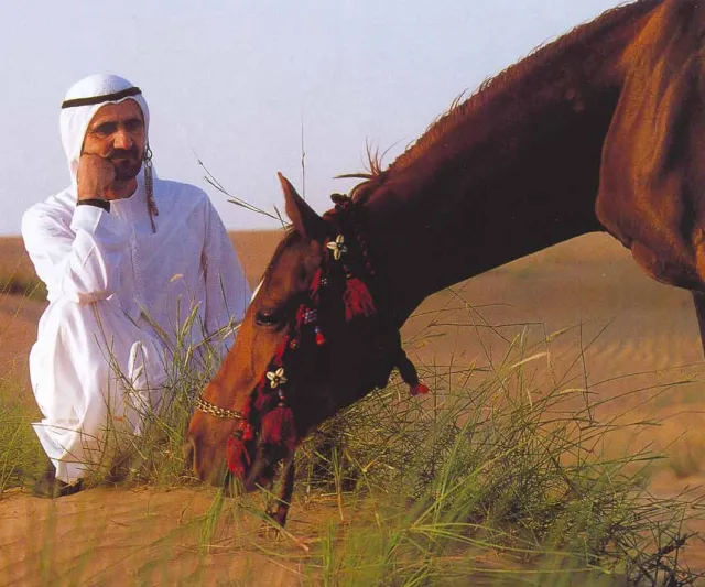 «التهاني» قصيدة شعر عن اكسبو لمحمد بن راشد