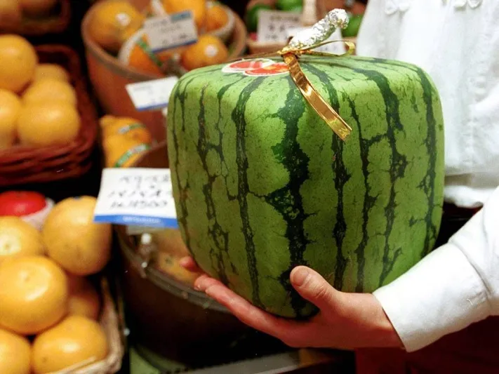 بطيخ جميل الشكل لا الطعم بأسعار خيالية في اليابان
