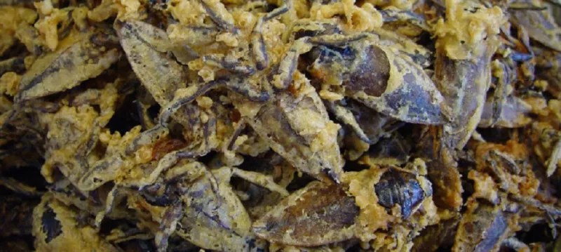 لن تصدق ما هو الطعام المفضل لأهل الكونغو! 