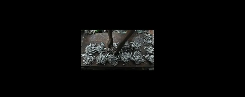 لن تصدق ما هو الطعام المفضل لأهل الكونغو! 