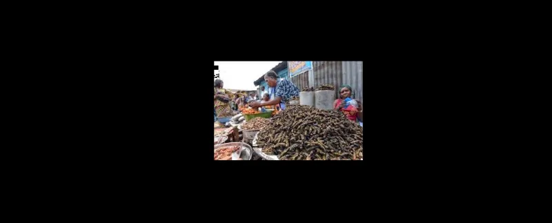 لن تصدق ما هو الطعام المفضل لأهل الكونغو! 