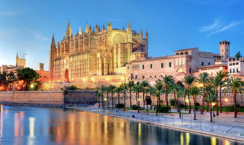 مدينة إسبانية تمنح كلابها وقططها حقوق البشر