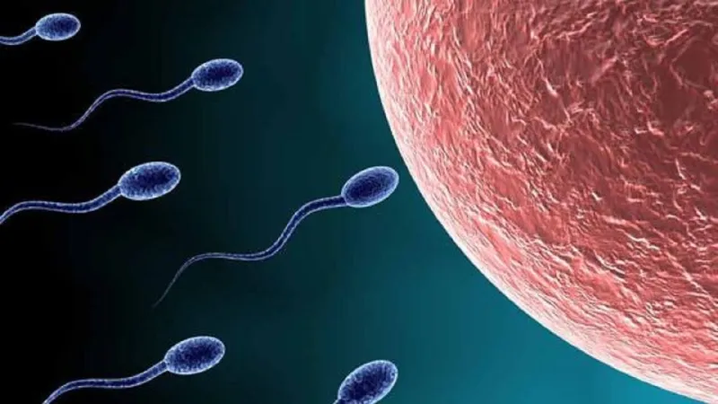 السائل المنوي للرجال يتحكم في سلوكيات السيدات