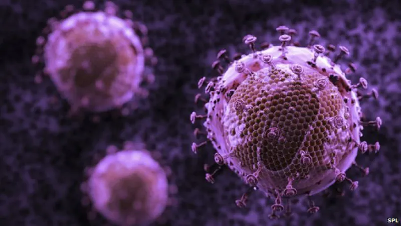 سبع نصائح ذهبية لتقوية جهاز المناعة