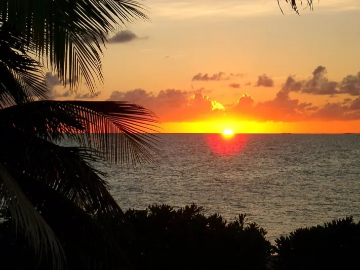 بالصور  أجمل 5 جزر فخمة معروضة للإيجار 