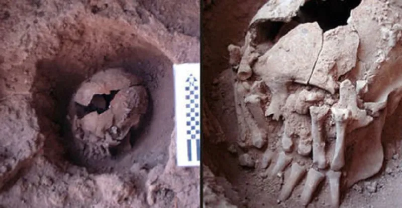 جمجمة عمرها 9 آلاف عام تدل على شعائر تقطيع الأجسام