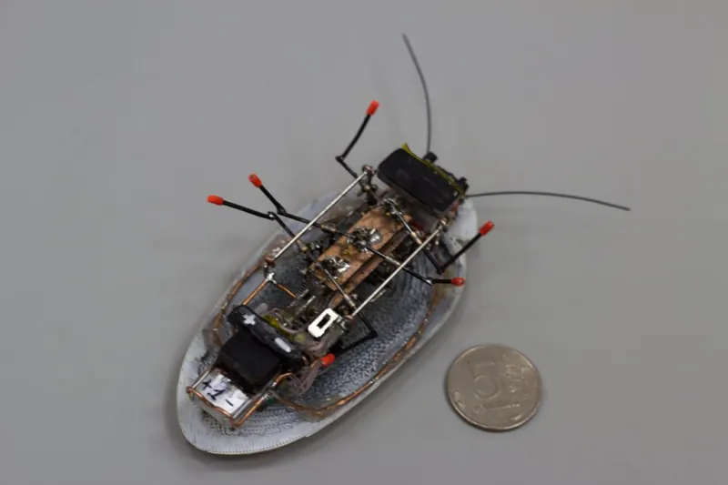 بالصور: صرصور روبوتي روسي ... بمميزات لا تخطر على بال!