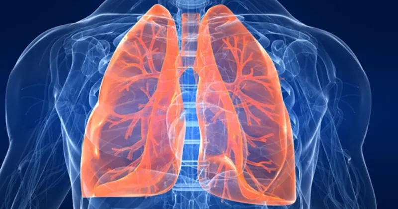 العلماء يكتشفون سر بقاء رئة بعض المدخنين سليمة