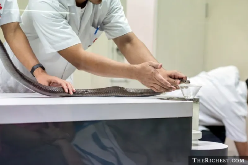 غرائب العمل.. 6 وظائف طريفة لا أحد يعلم بوجودها رغم ضرورتها!